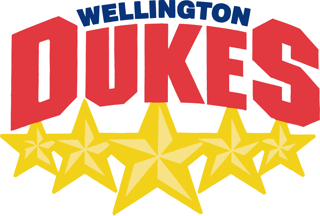 Wellington Dukes 2006-Pres Primary Logo iron on heat transfer